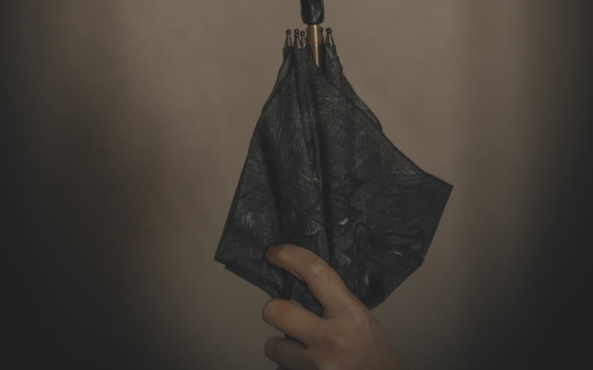 Illustration de l'événement : Le Parapluie de Rosa Parks : journées du matrimoine