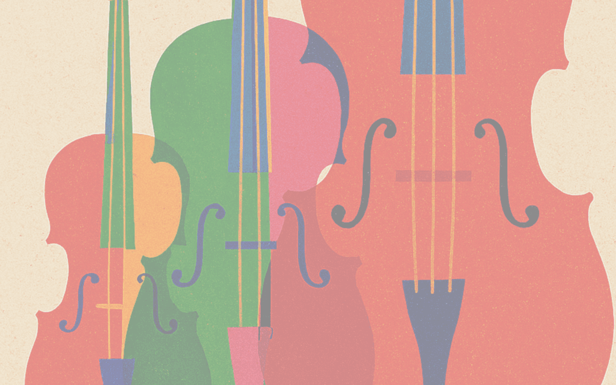 Illustration de l'événement : Les cordes s'accordent