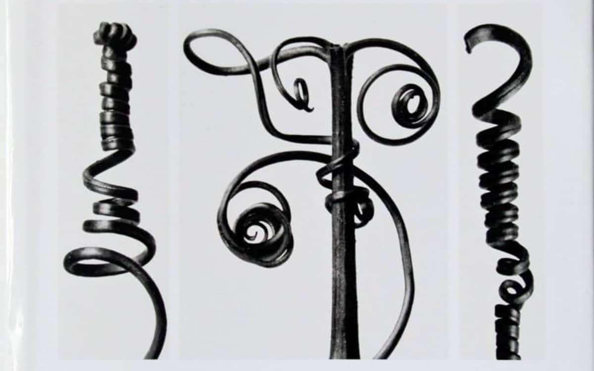 Illustration de l'événement : Le végétal et la Nouvelle Objectivité – Ernst Haeckel et Karl Blossfeldt