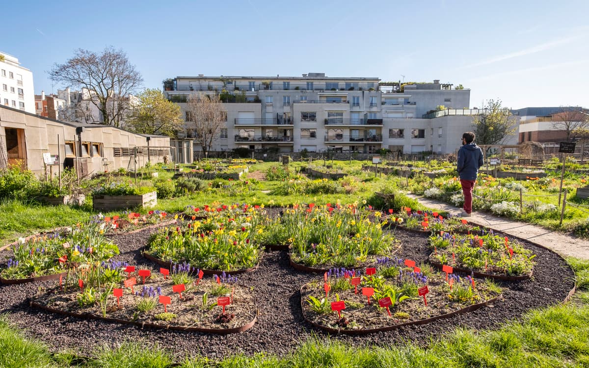 Illustration de l'événement : Les activités du Paysan Urbain Paris : le Programme de Juillet 2026