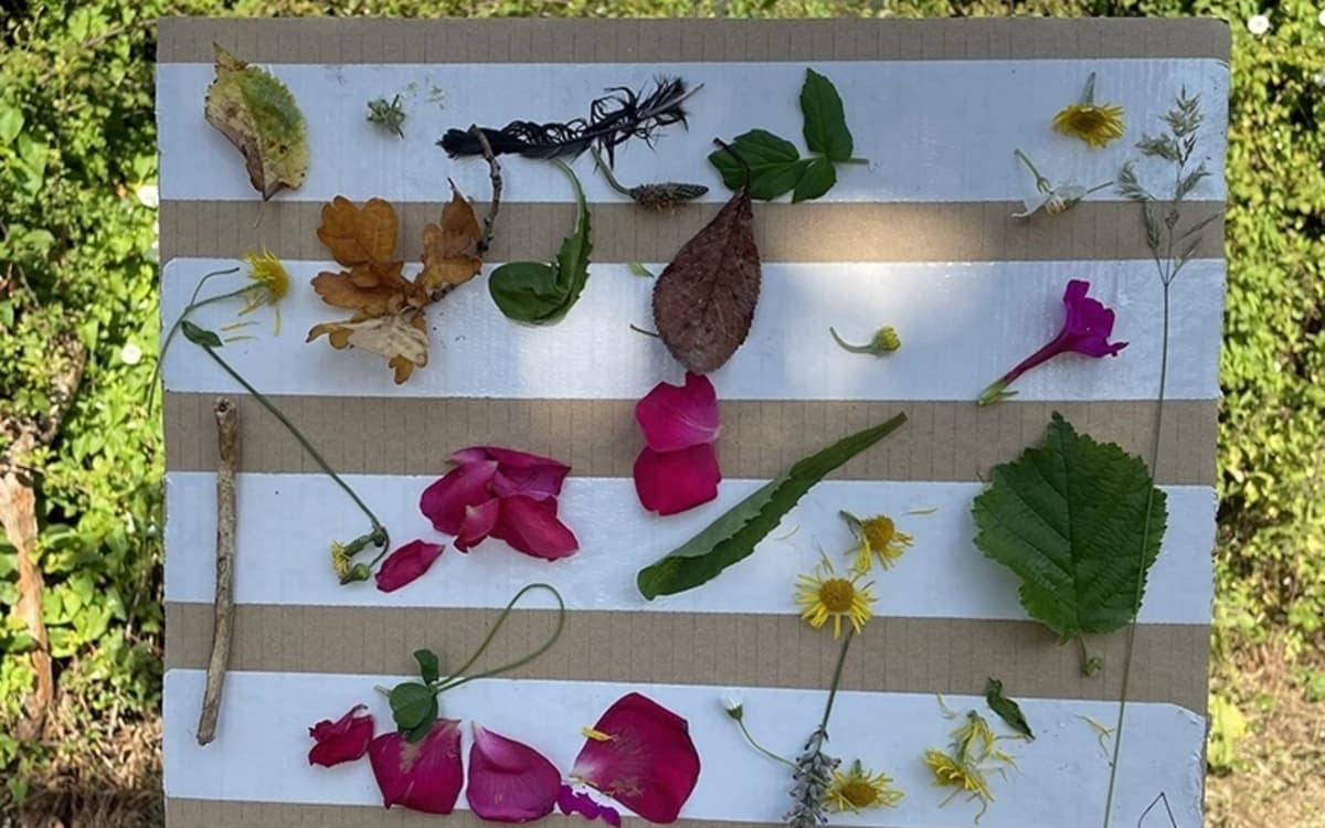 Illustration de l'événement : Créé ton tableau végétal