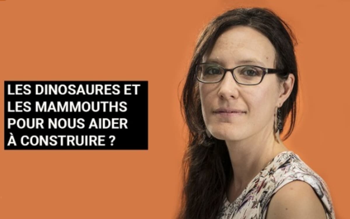 Illustration de l'événement : La paléo-bioinspiration : quand les fossiles inspirent le futur