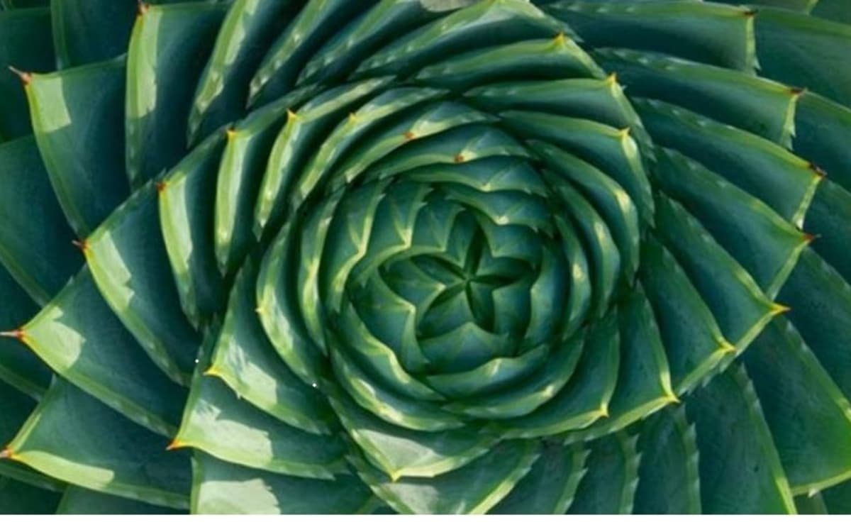 Illustration de l'événement : la nature modèle scientifique