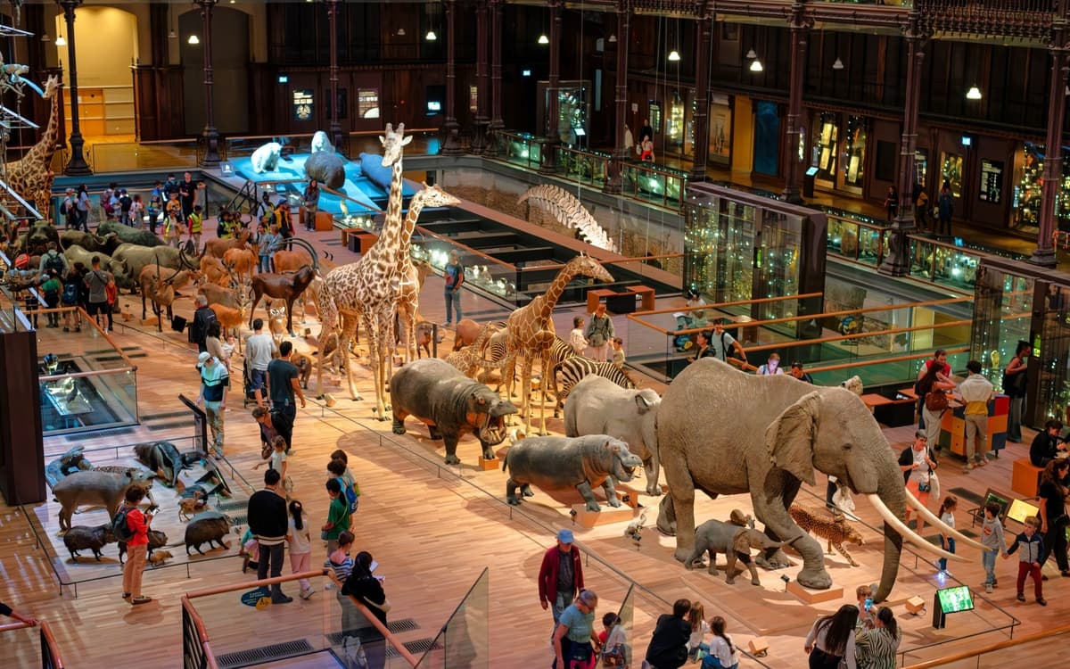 Illustration de l'événement : Voyage extraordinaire à la Galerie de l’Évolution