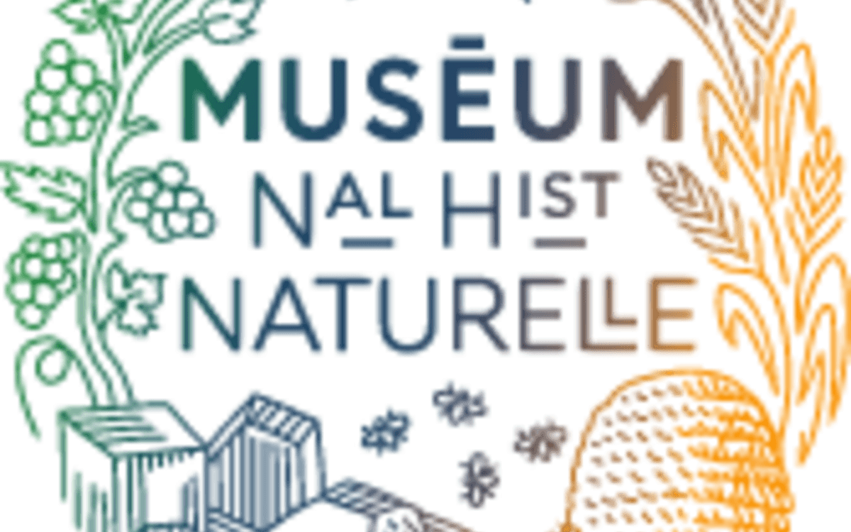 Illustration de l'événement : Automne de la science, quand la nature nous inspire : rencontre avec Marion Segall, spécialiste des vertébrés et des serpents