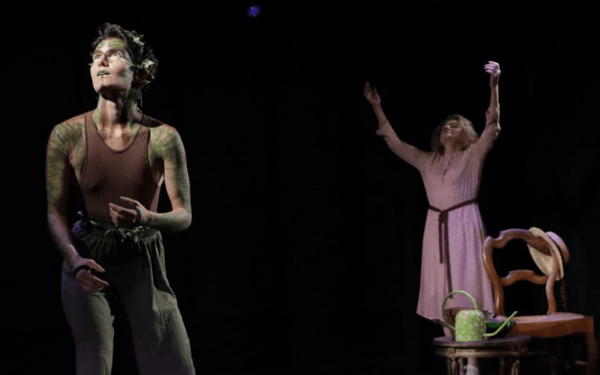 Illustration de l'événement : Spectacle familial : Clémentine et Pensée de la forêt
