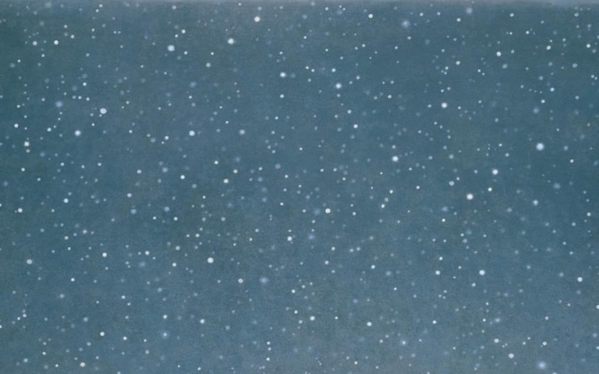 Illustration de l'événement : Contrepoint contemporain. Vija Celmins