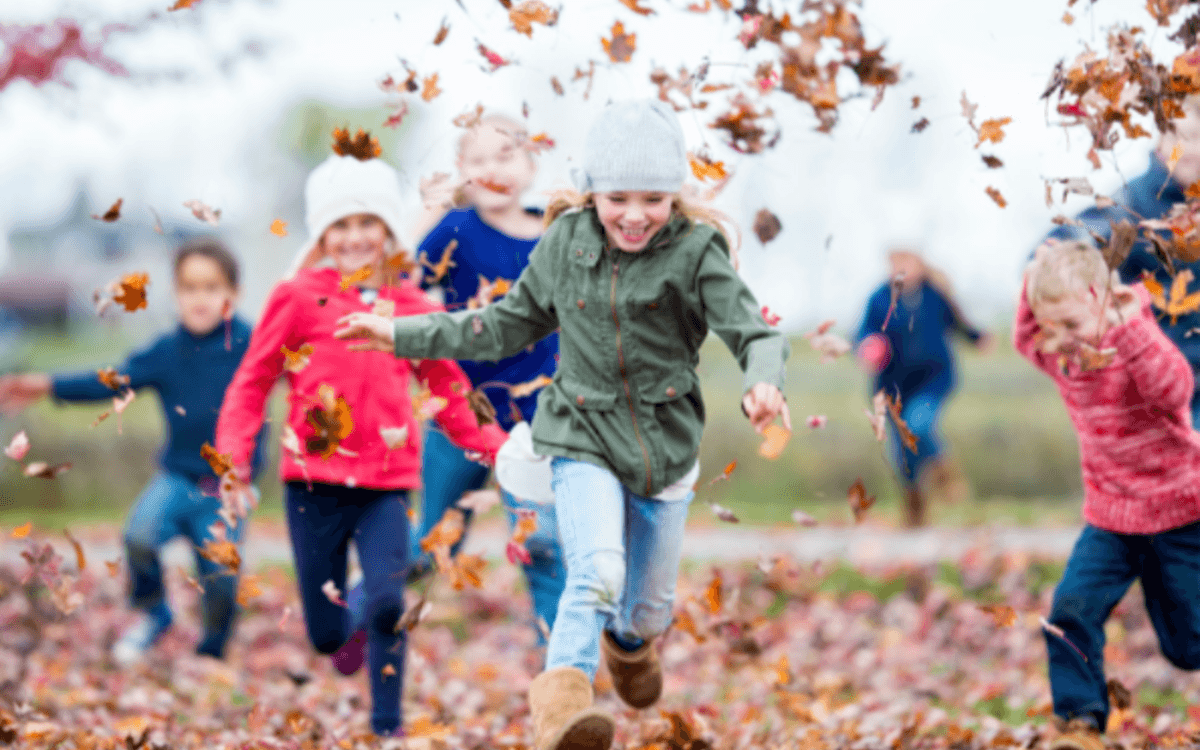 Illustration de l'événement : Stage Multiactivités (thème automne)