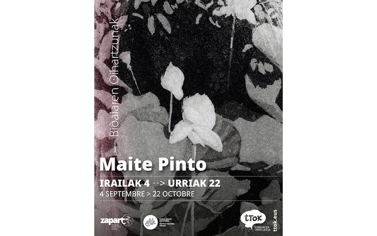Illustration de l'événement : Exposition de Maïté PINTO : "Bidaiaren oihartzunak" - "Echos de voyage"