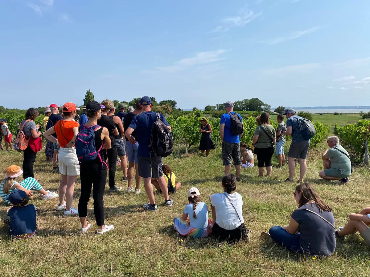 Illustration de l'événement : Vignobles en Scène : L'Échappée Vigneronne au château Tour Castillon