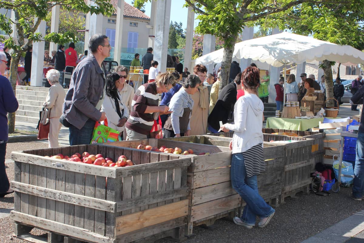 Illustration de l'événement : Marché de Cerizay