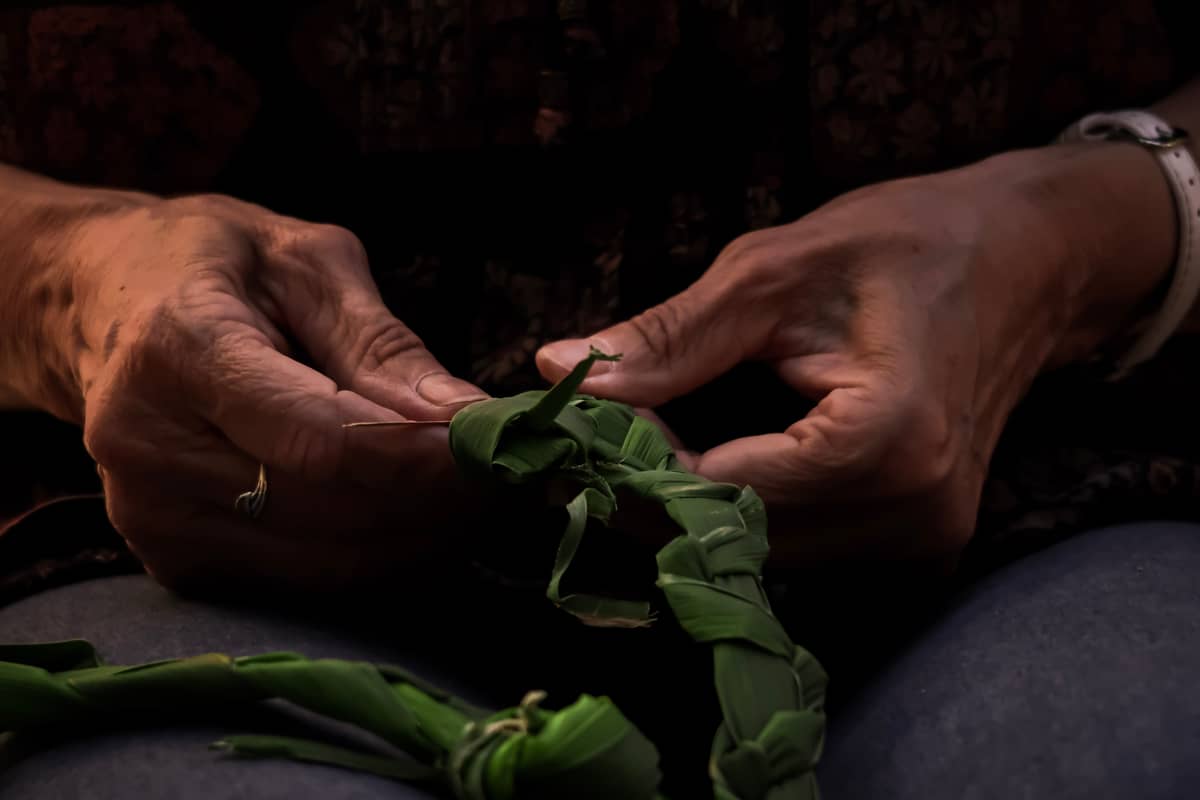 Illustration de l'événement : Découverte plantes sauvages pour la vannerie