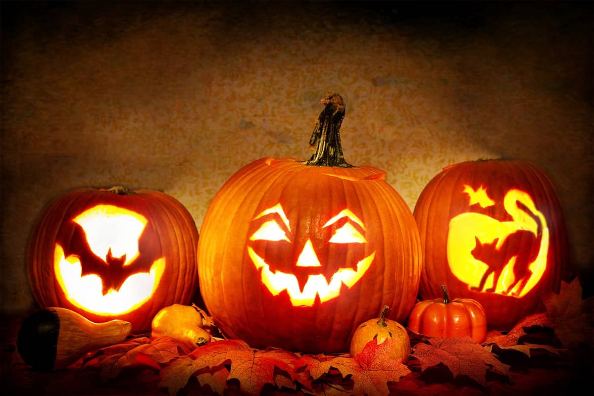 Illustration de l'événement : Halloween à la Ferme Les P'tites Mains pour Demain
