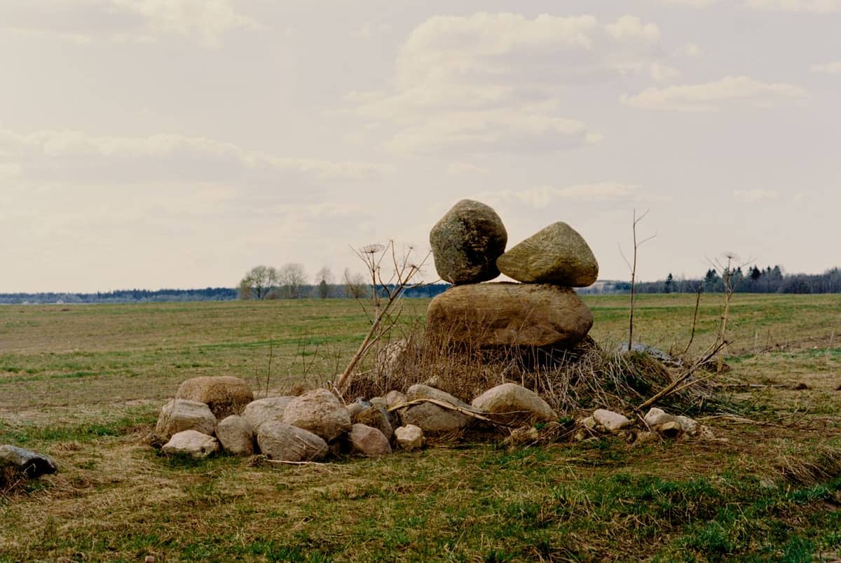 Illustration de l'événement : Atelier à la ferme: Land'Art, portrait de monstre