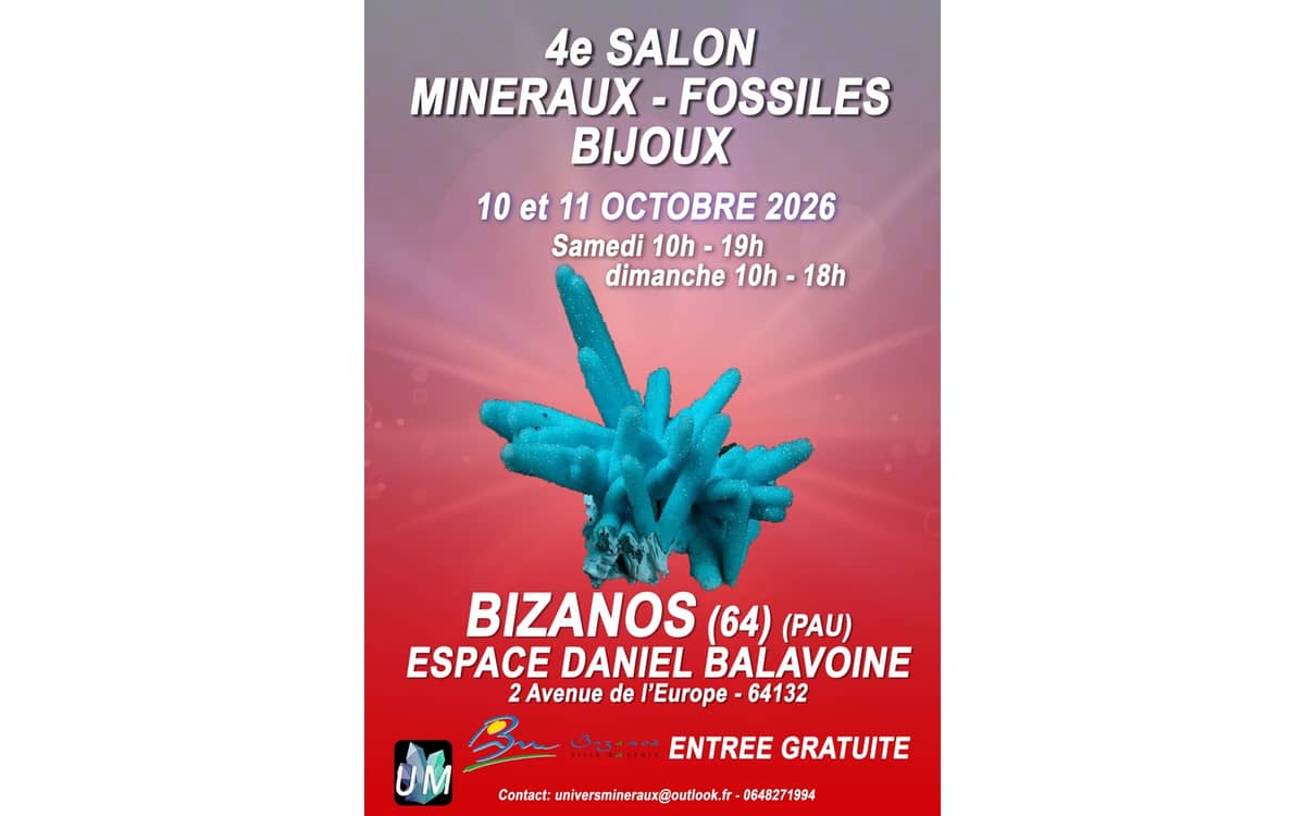 Illustration de l'événement : Salon minéraux, fossiles, bijoux de créateur.