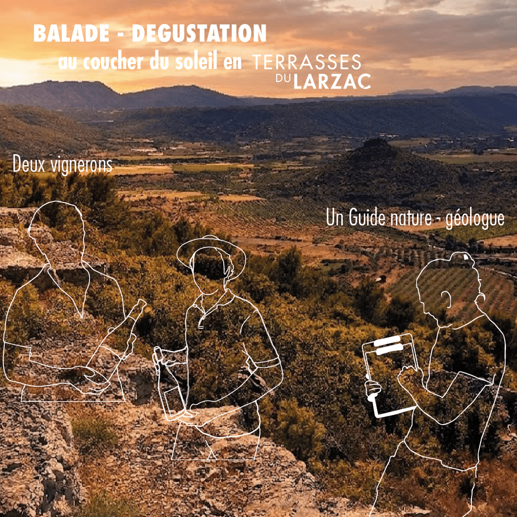 Illustration de l'événement : COUCHER DE SOLEIL ET DÉGUSTATION DE VINS - SAINT-GUIRAUD