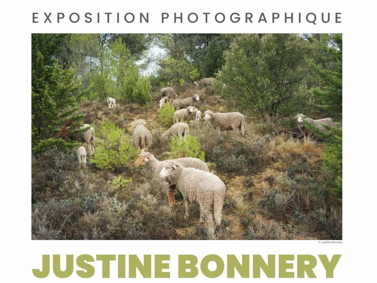 Illustration de l'événement : JUSTINE BONNERY : CHRONIQUES RURALES