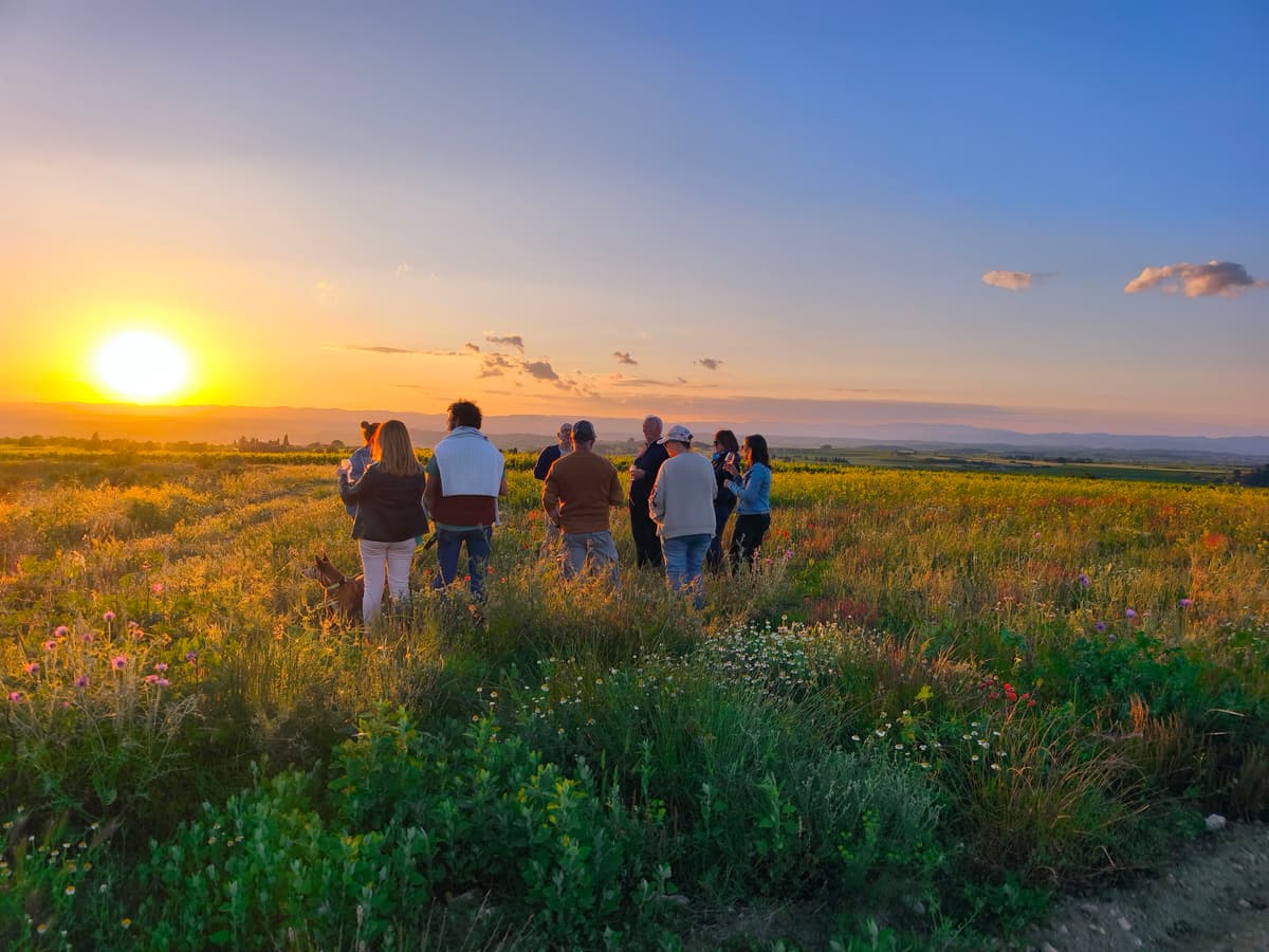 Illustration de l'événement : BALADE GOLDEN HOUR AU DOMAINE