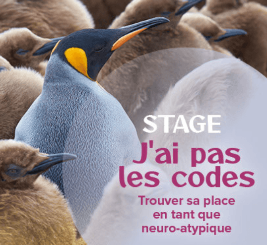 Illustration de l'événement : Stage à l'Atelier sous les Chênes - J'ai pas les codes, trouver sa place en tant que neuro-atypique Avec Christelle Petitcollin