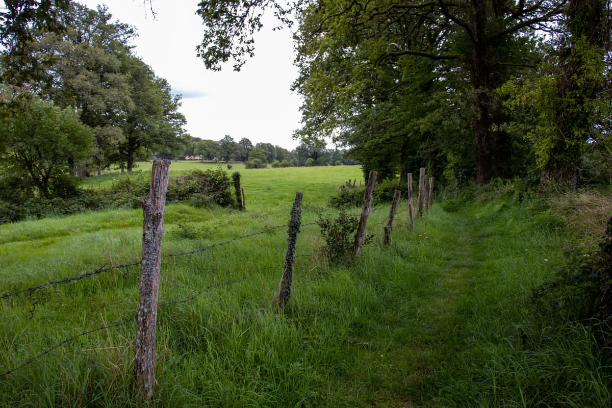 Illustration de l'événement : Randonnée avec Pique et Pousse en Quercy Blanc
