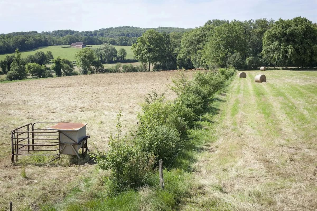 Illustration de l'événement : Des arbres et des champs, agroforesterie, table ronde à Assier