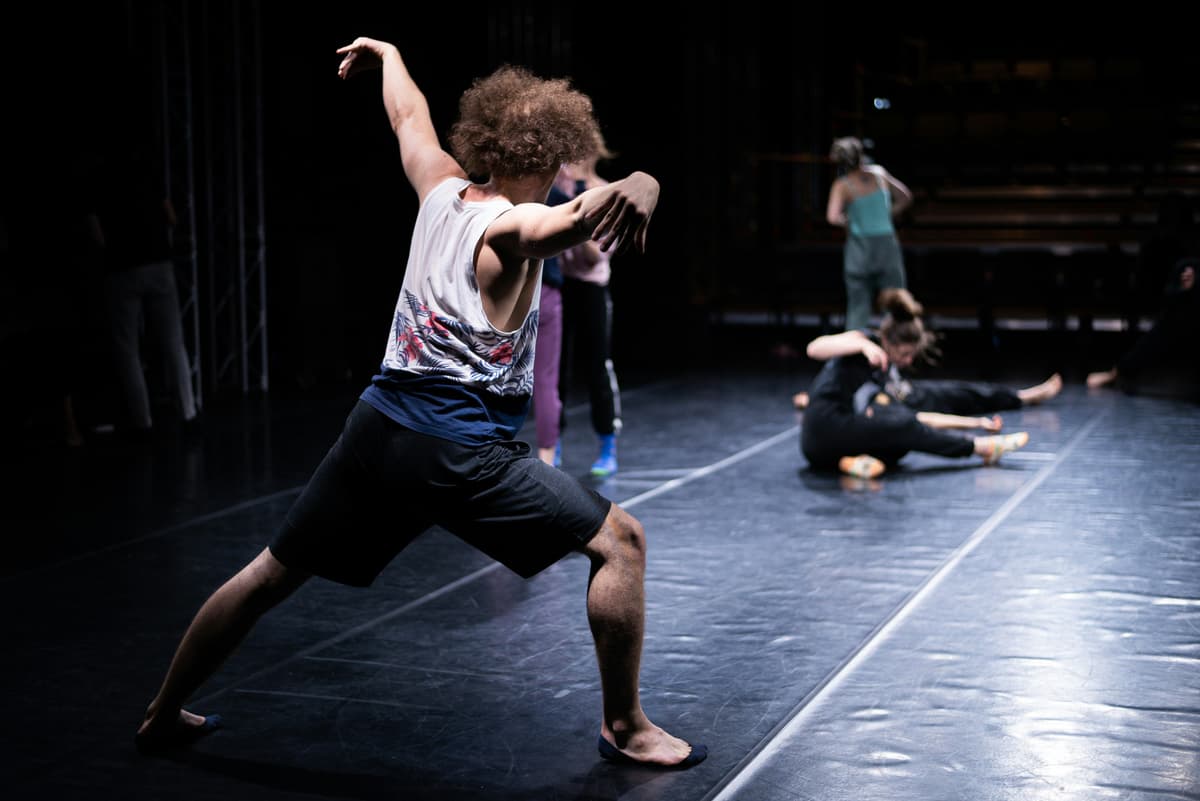 Illustration de l'événement : Spectacle de danse à Souillac