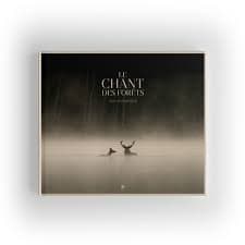 Illustration de l'événement : CINECO : LE CHANT DES FORETS
