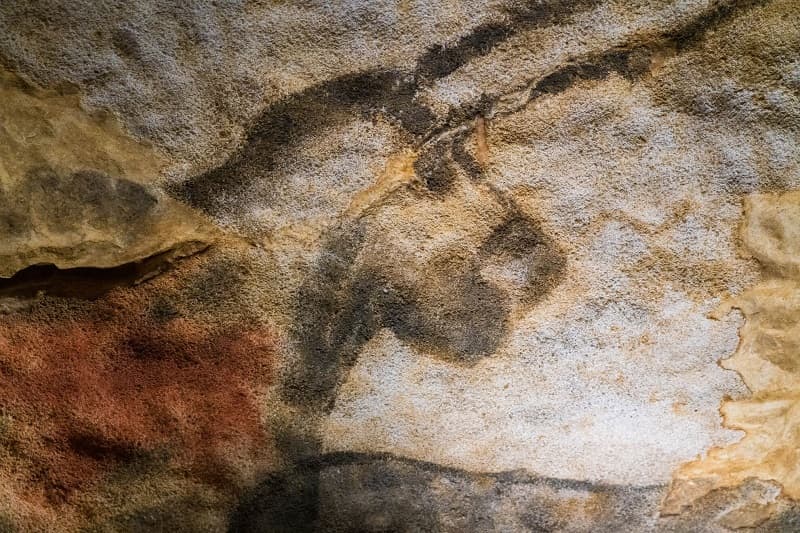 Illustration de l'événement : Visite contée - La musique à la Préhistoire