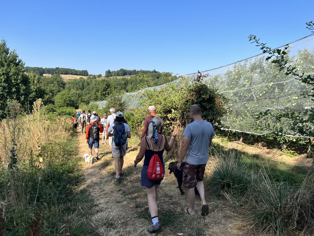 Illustration de l'événement : Route de la Pomme du Limousin - Visite verger 2026
