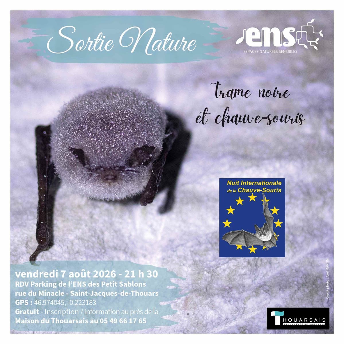 Illustration de l'événement : Les estivales de la nature : Trame noire et chauves-souris