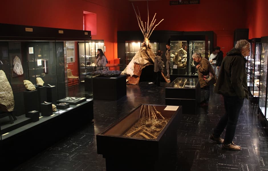 Illustration de l'événement : Les vacances au musée : la parure préhistorique