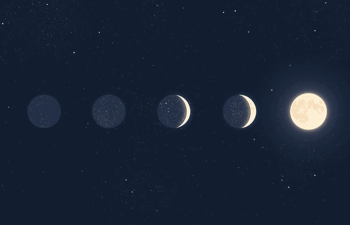 Illustration de l'événement : Atelier scientifique - Comprendre les phases de la Lune