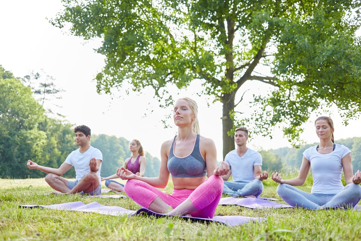 Illustration de l'événement : Cours de yoga à la ferme