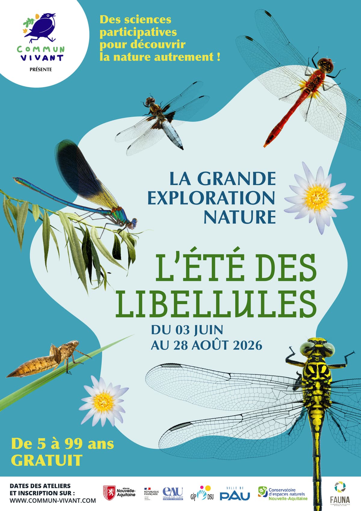 Illustration de l'événement : L'été des libellules - Ateliers sciences et nature