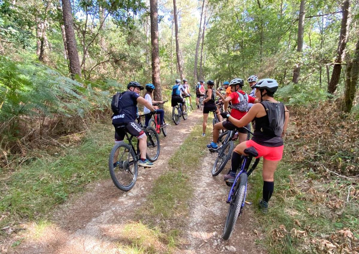 Illustration de l'événement : Été Actif : Balade du Lundi, Marche Nordique / VTT - Lisle