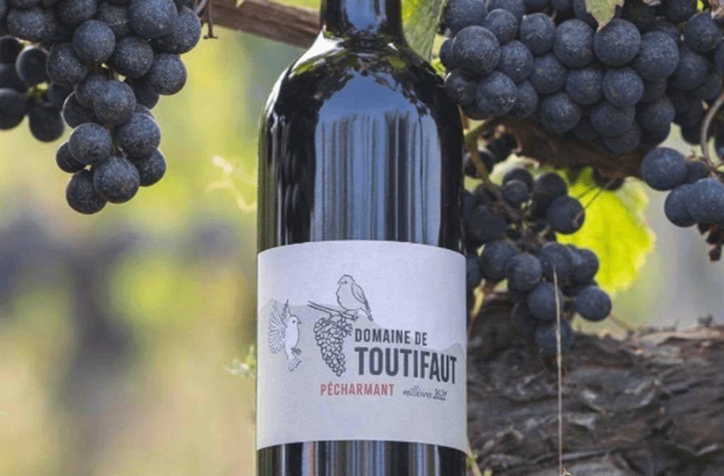 Illustration de l'événement : Domaine de Toutifaut | Visite & dégustation
