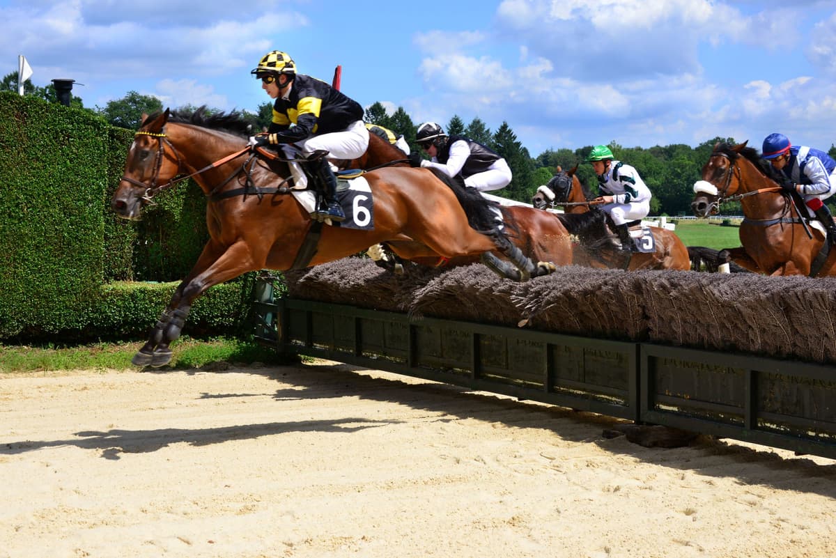 Illustration de l'événement : Courses hippiques : Petits jockeys et grands sourires
