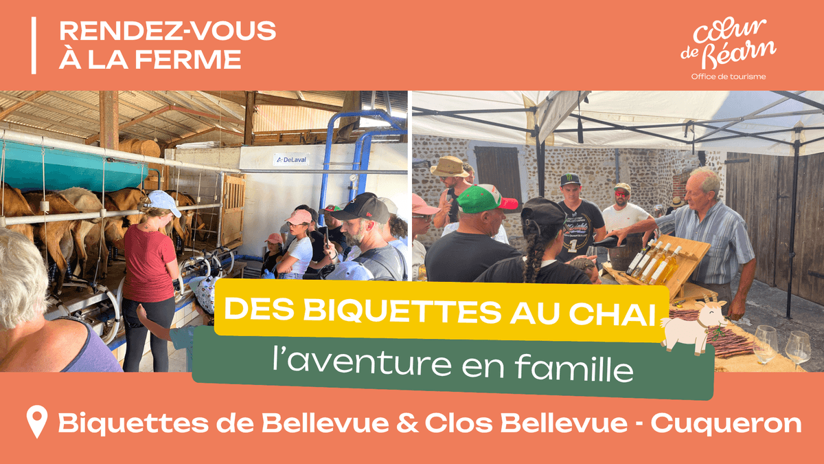 Illustration de l'événement : Rendez-vous à la ferme : Des biquettes au chai