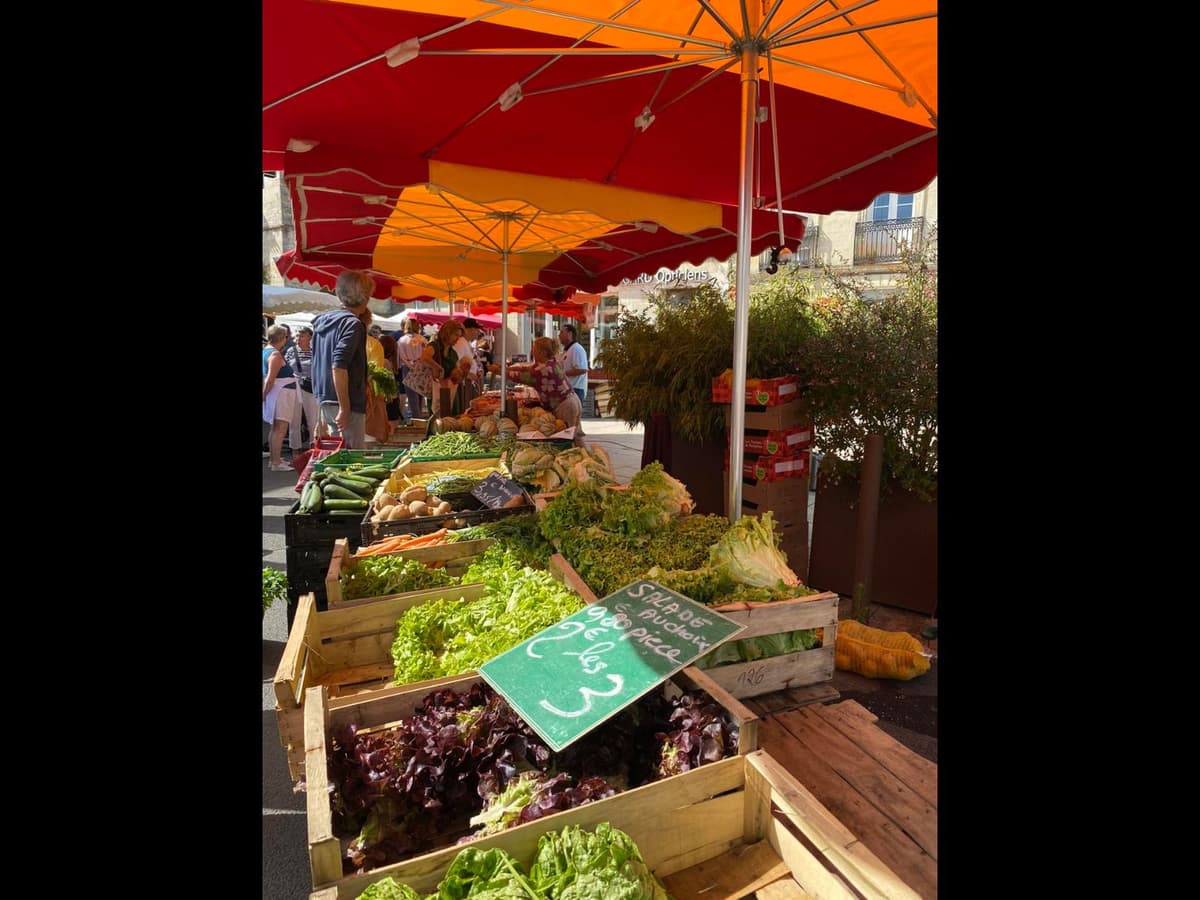 Illustration de l'événement : Marché hebdomadaire du mardi matin à Sauveterre-de-Guyenne