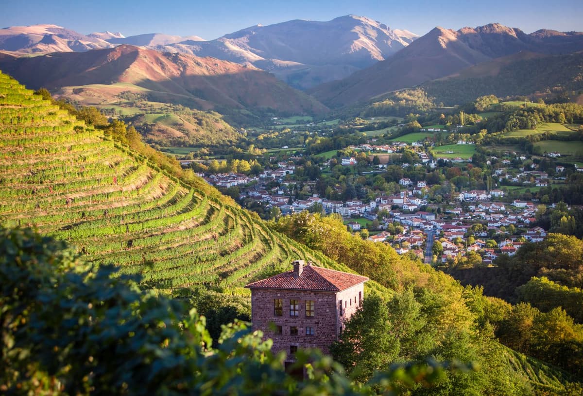 Illustration de l'événement : Visite du Vignoble Brana et dégustation