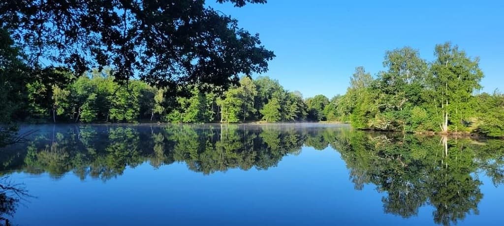 Illustration de l'événement : Etang de Chaux : Ouverture du site et de la saison de la pêche