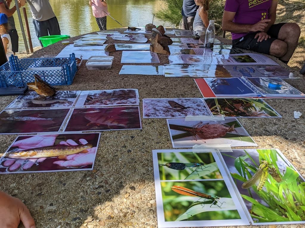 Illustration de l'événement : Etang de Chaux : Animations famille "Atelier pêche"