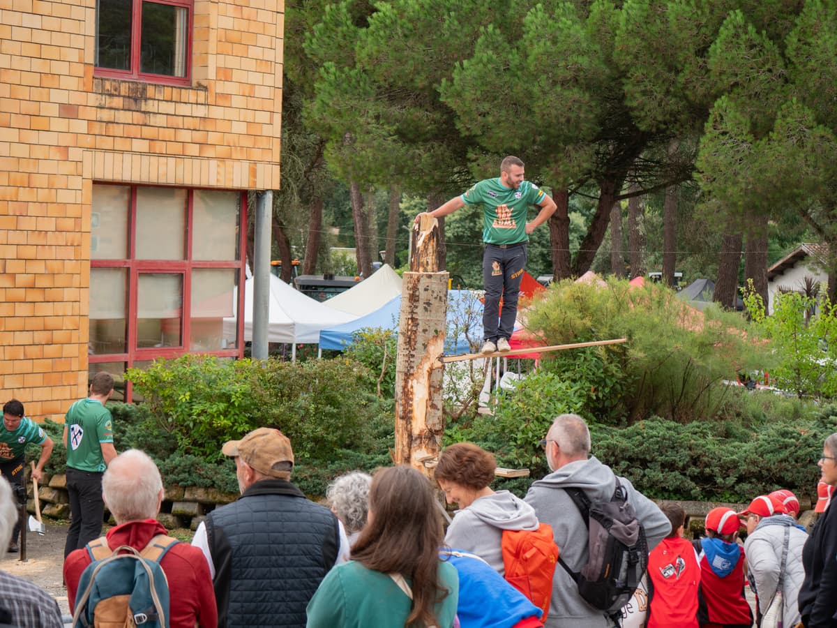 Illustration de l'événement : Fête de l'Environnement, de la Forêt et des métiers du Médoc (FEFOMM)