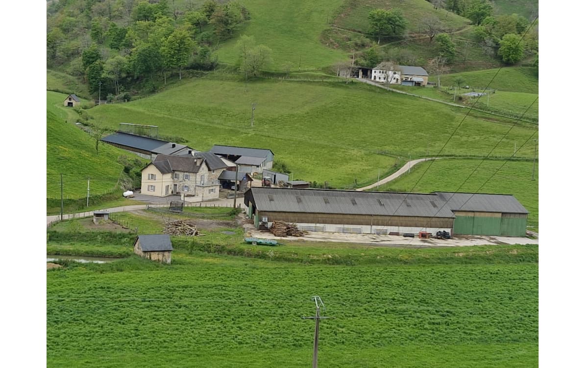 Illustration de l'événement : Visite de la ferme Burgubu