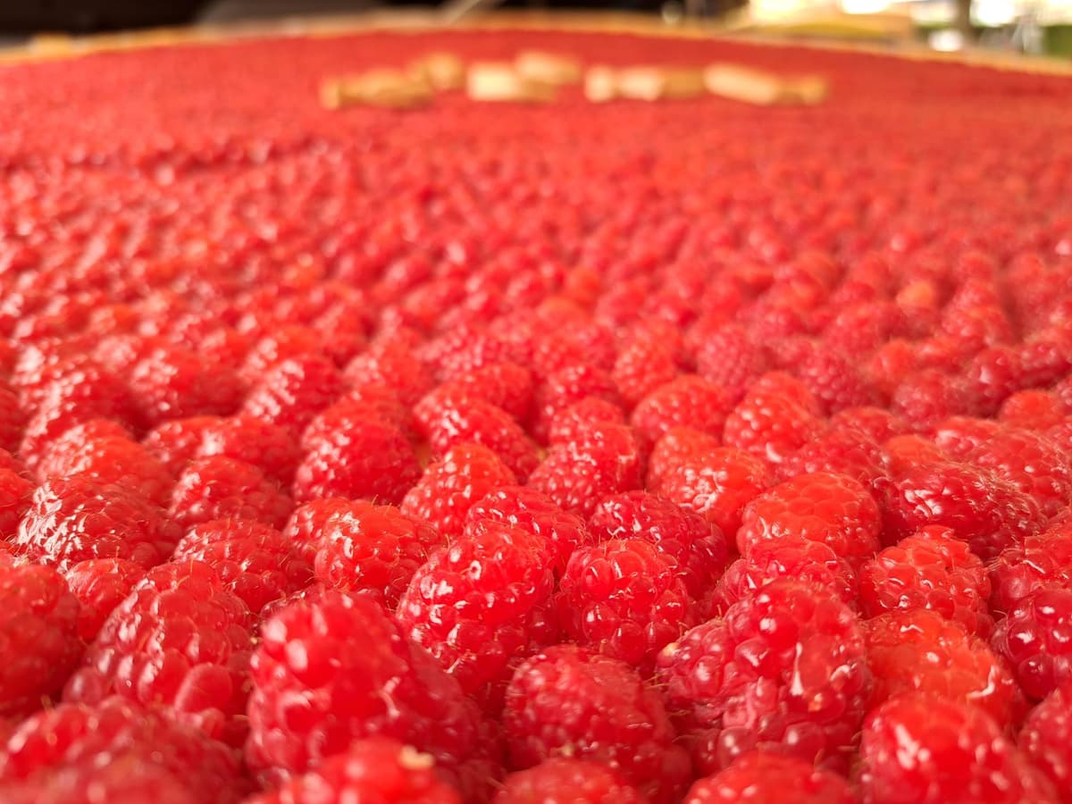 Illustration de l'événement : Fête de la Framboise