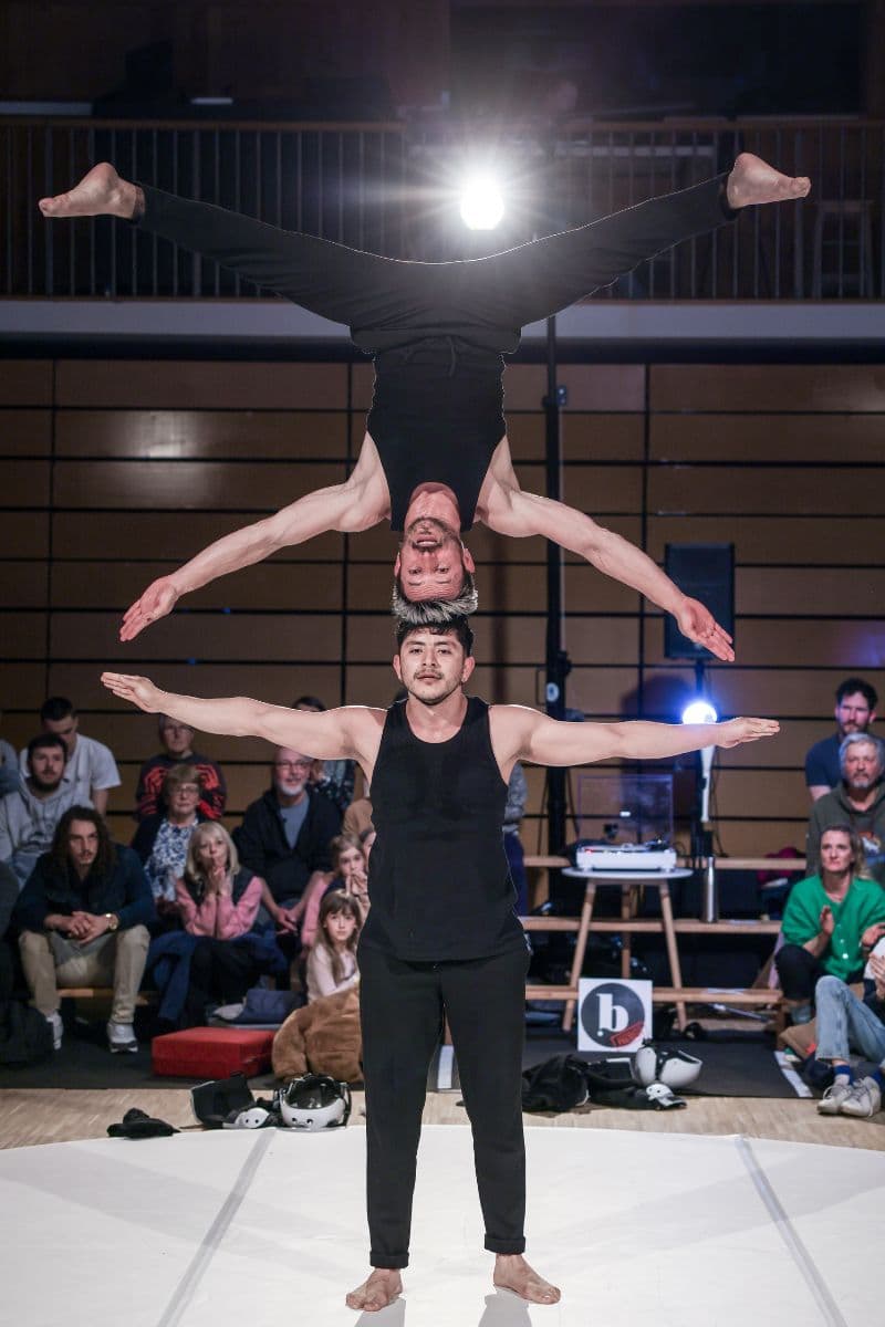 Illustration de l'événement : Festival au Village - Fratello - Cirque