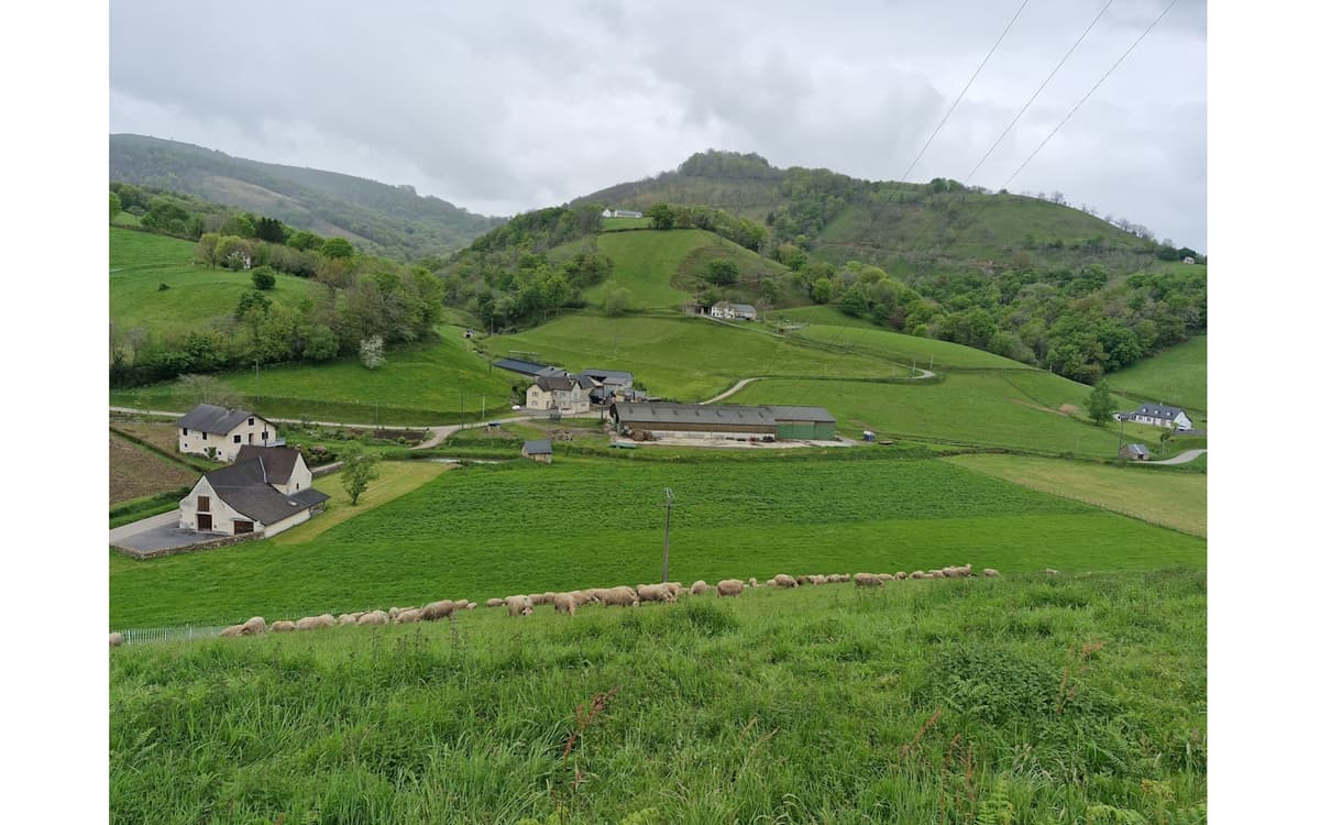 Illustration de l'événement : Visite de la ferme Burgubu