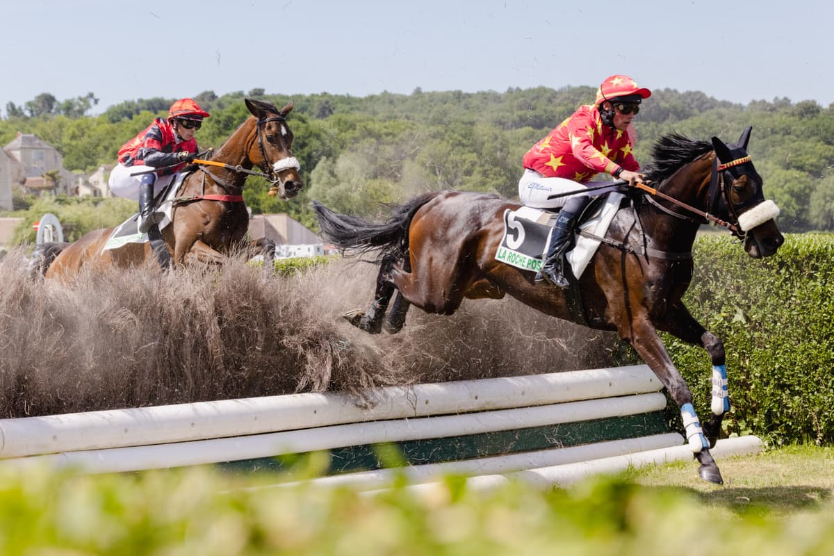 Illustration de l'événement : Courses hippiques Trot/Obstacle