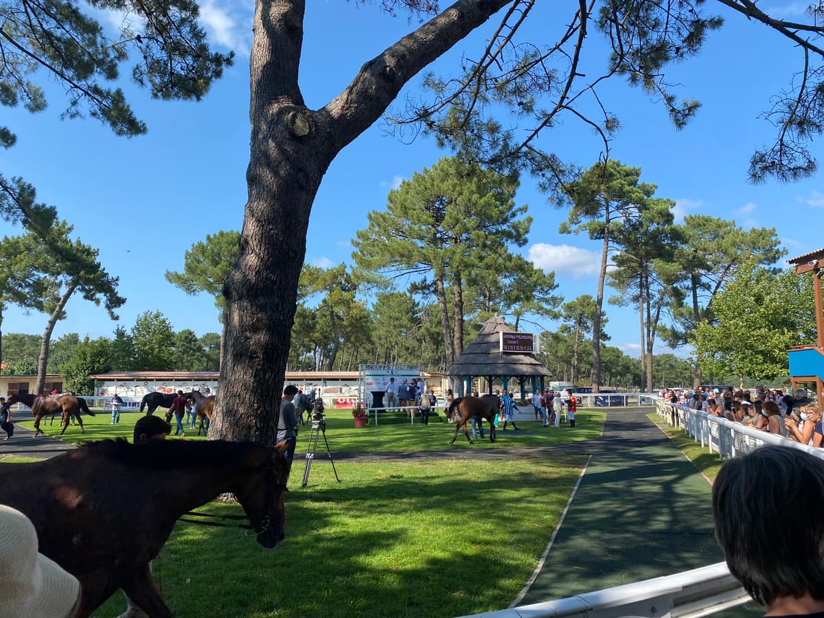 Illustration de l'événement : Visite privilège à l'hippodrome un jour de courses