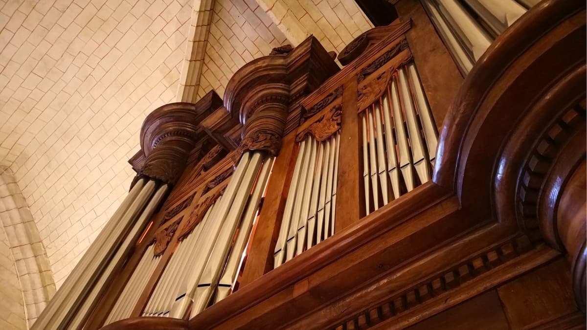 Illustration de l'événement : Route des Orgues en Béarn : Concert Hautbois et Orgue